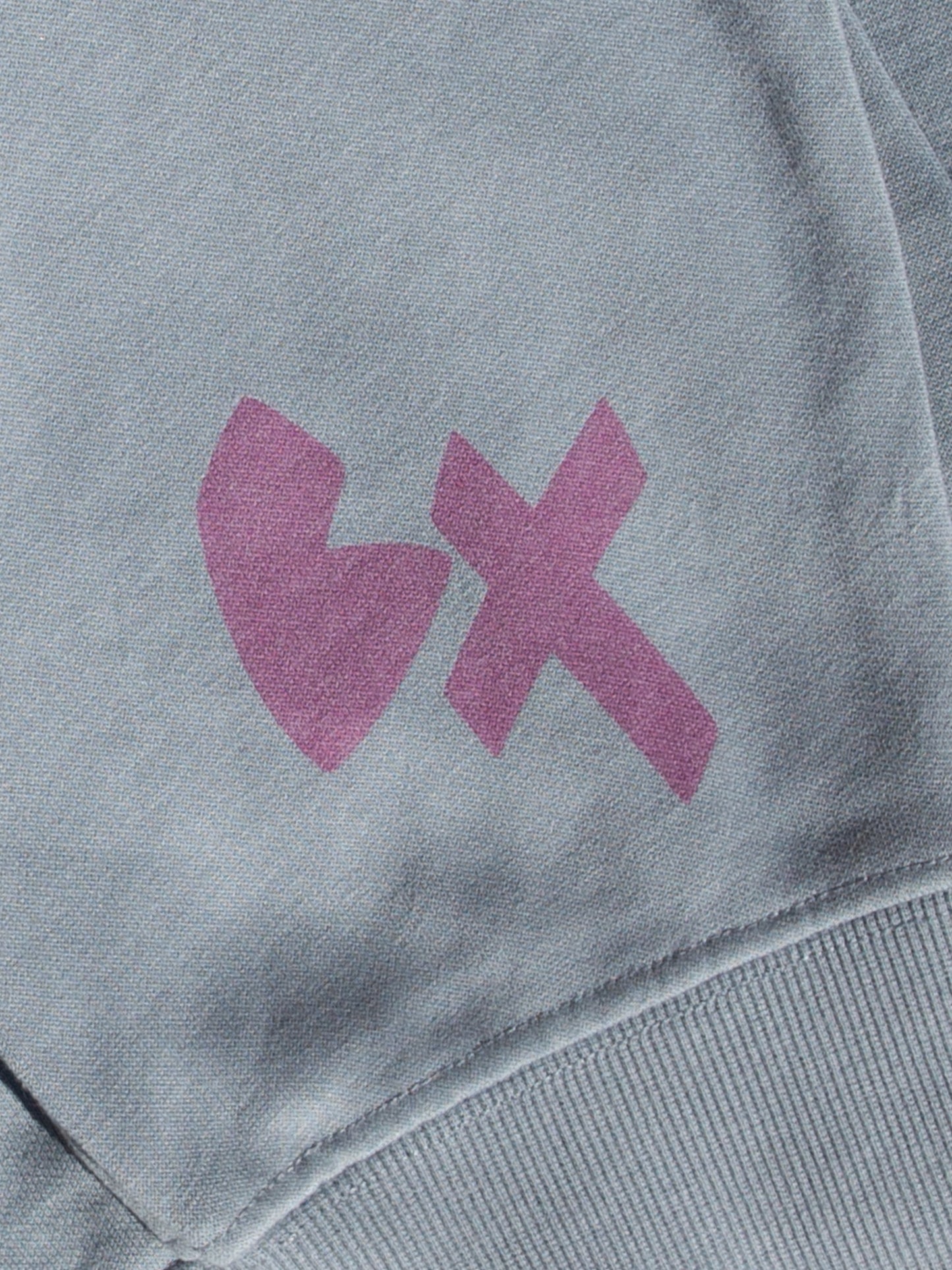 BXRaised Gray Hoodie with Pink Logo